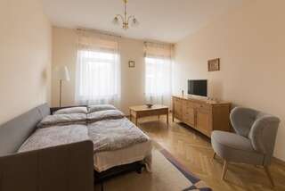 Апартаменты Old Town apartment Каунас Апартаменты с 1 спальней-8
